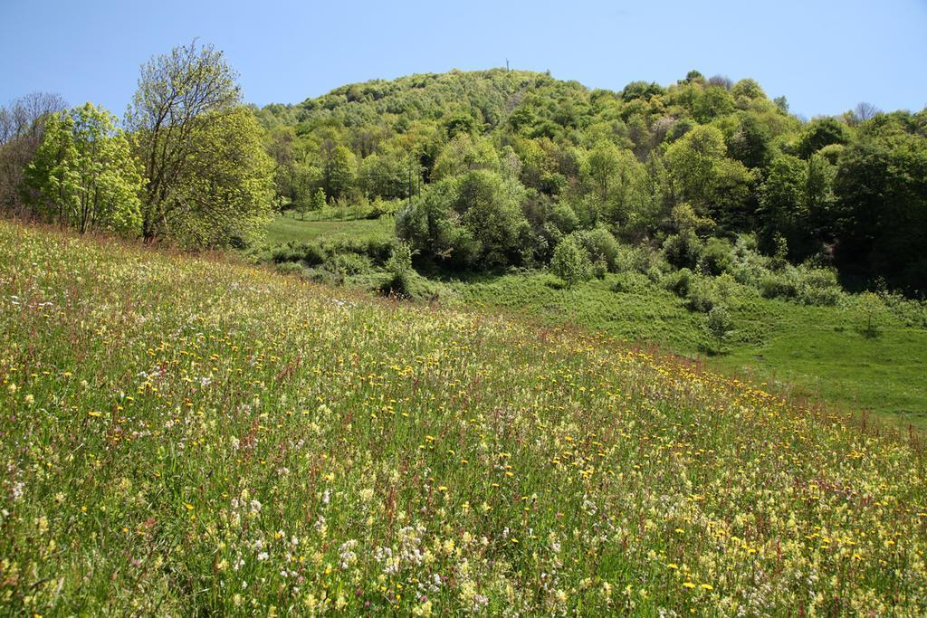 מלון לוז-סן-סובר Roulottes Montagne Pyrenees מראה חיצוני תמונה